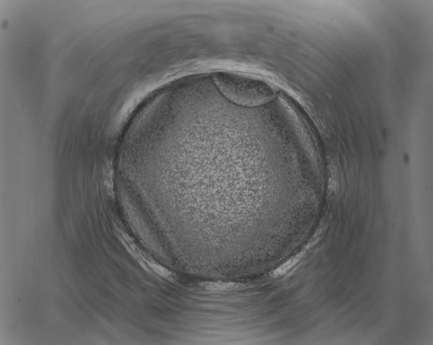 X0000065261499200603031815