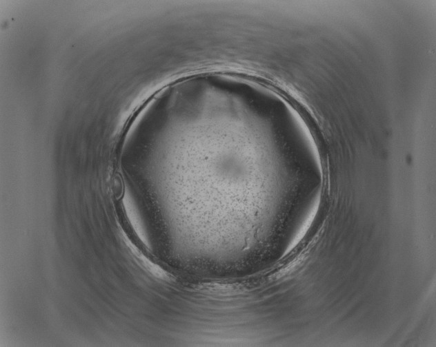 X0000065261500200603031815