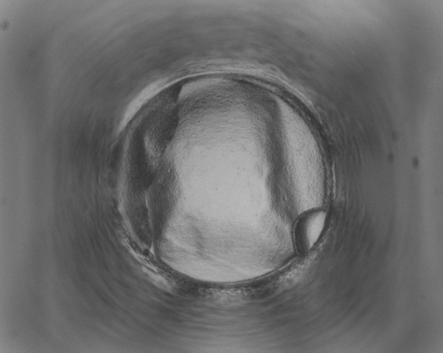 X0000065261501200603031815