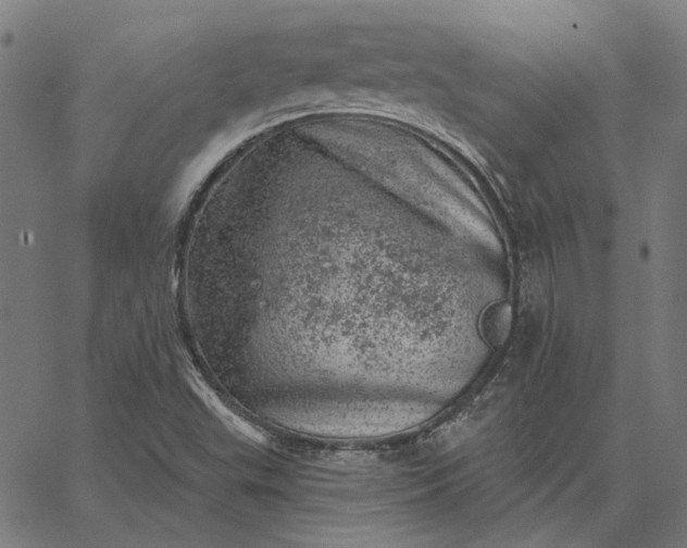 X0000065261503200603031815