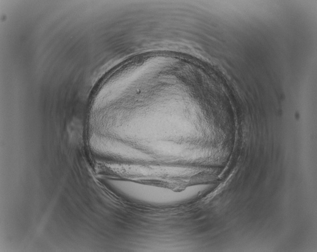 X0000065261505200603031815