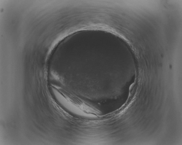 X0000065261506200603031815