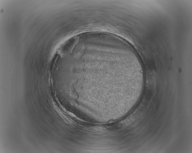 X0000065261507200603031815