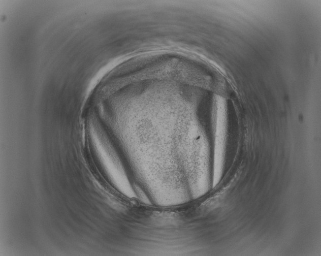 X0000065261509200603031815