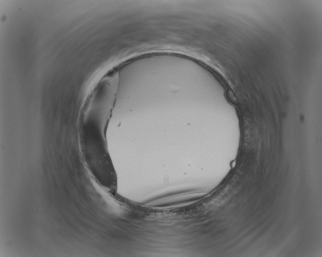 X0000065261511200603031815