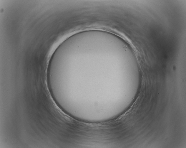 X0000065261512200603031815