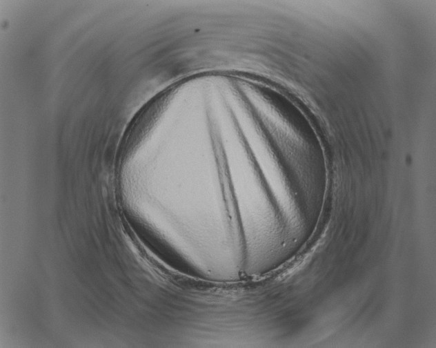 X0000065261513200603031815