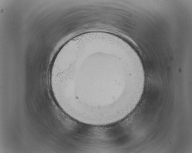 X0000065261514200603031815