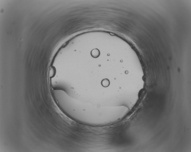 X0000065261516200603031816