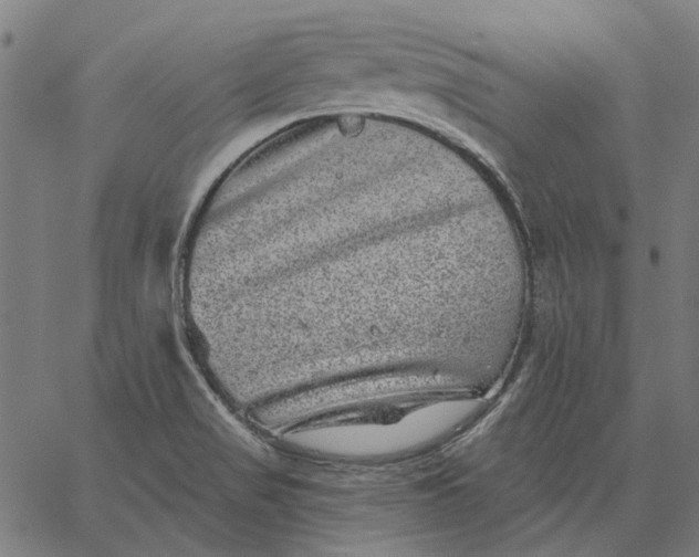 X0000065261517200603031816