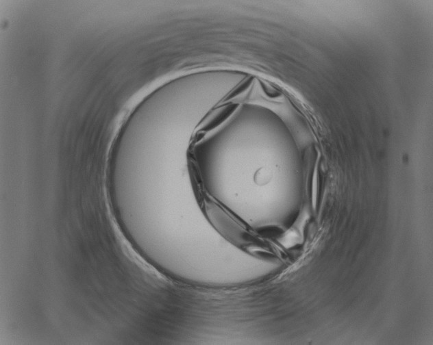 X0000065261518200603031816