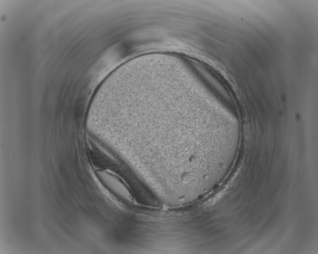 X0000065261521200603031816