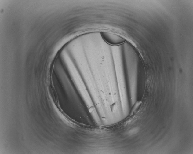 X0000065261523200603031816