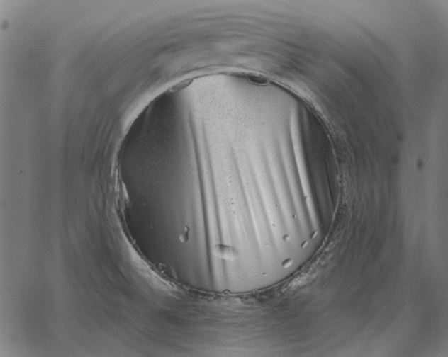 X0000065261524200603031816