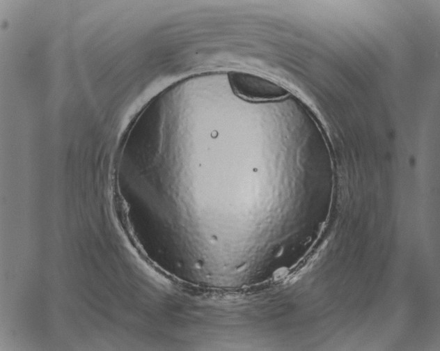 X0000065261525200603031816