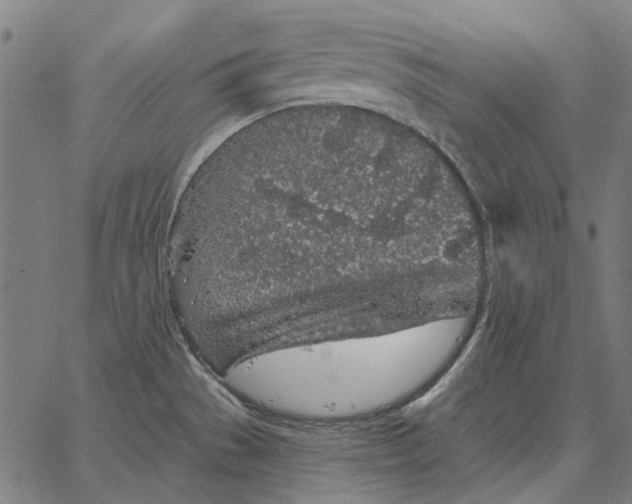 X0000065261529200603031816