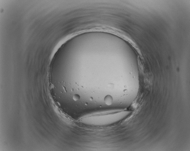 X0000065261530200603031816