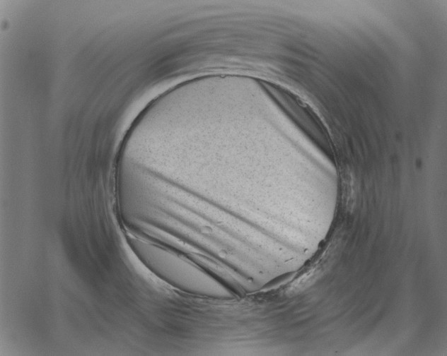 X0000065261531200603031816