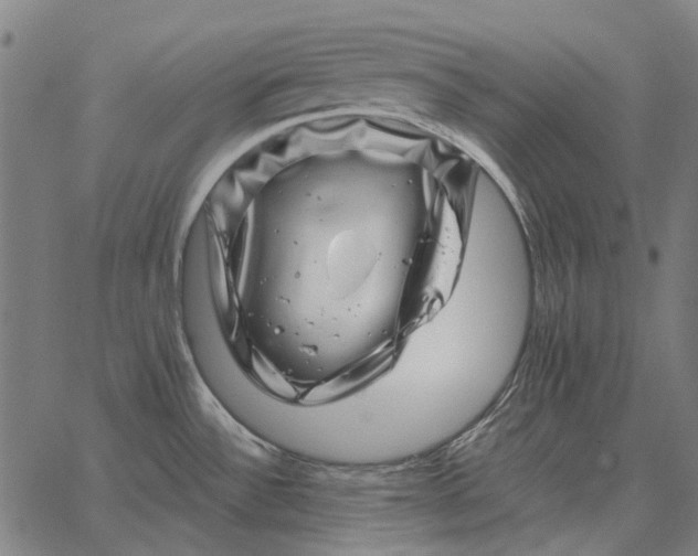 X0000065261532200603031816