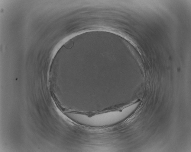 X0000065261535200603031816