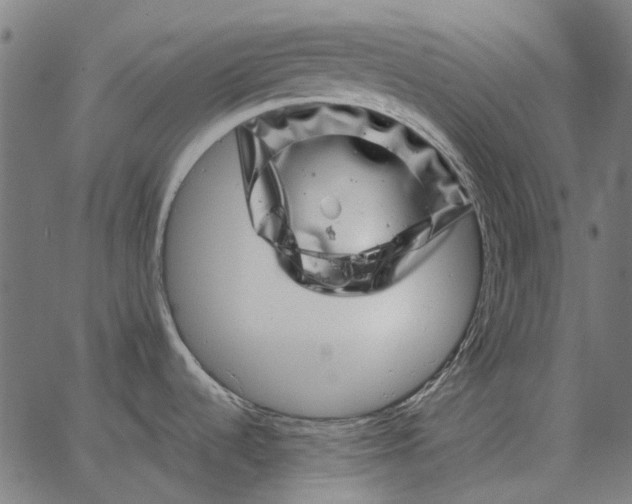 X0000065261536200603031816