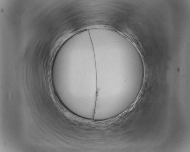 X0000065260001200603131214