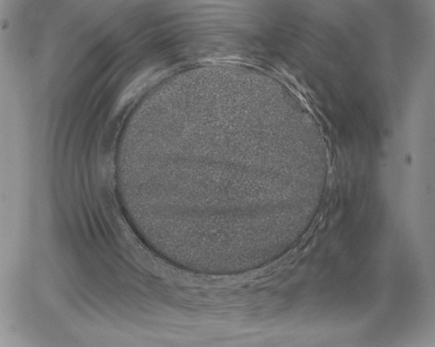 X0000065260002200603131214