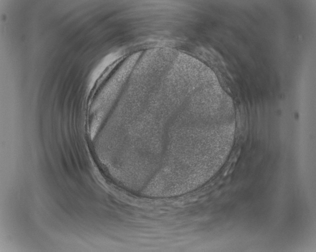 X0000065260003200603131214