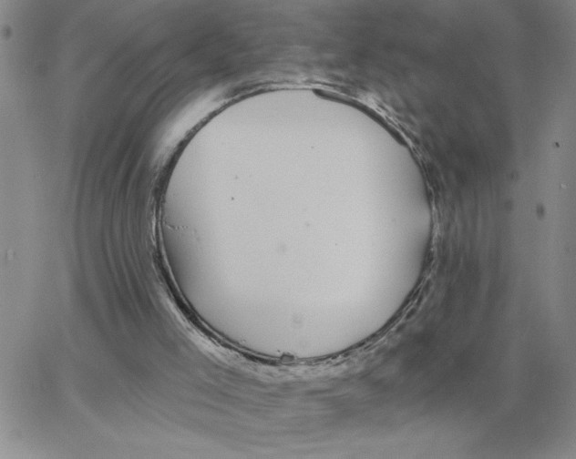 X0000065260005200603131214