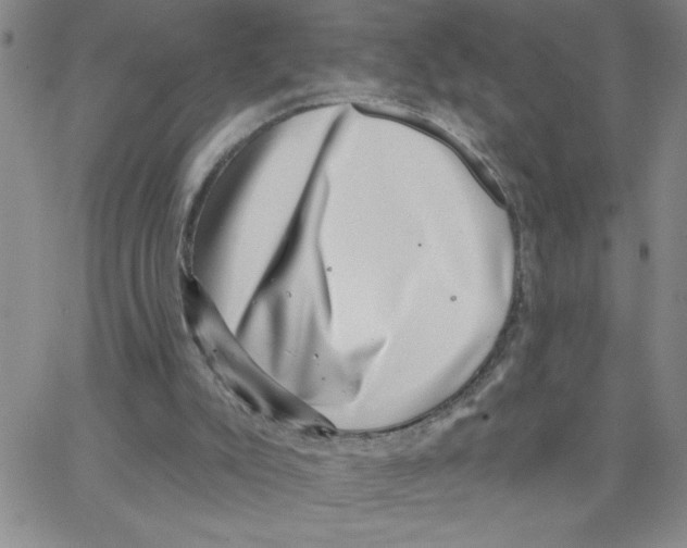 X0000065260007200603131214