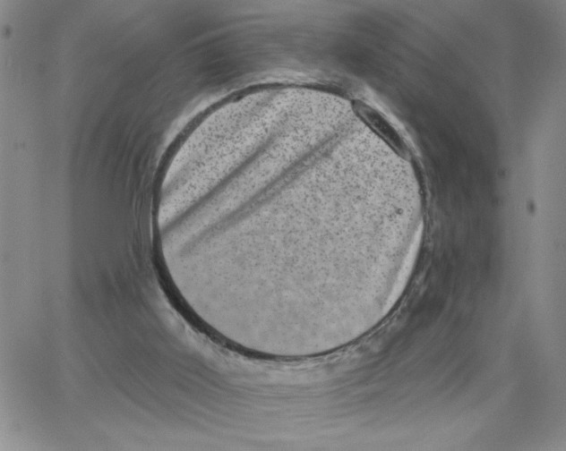 X0000065260011200603131214