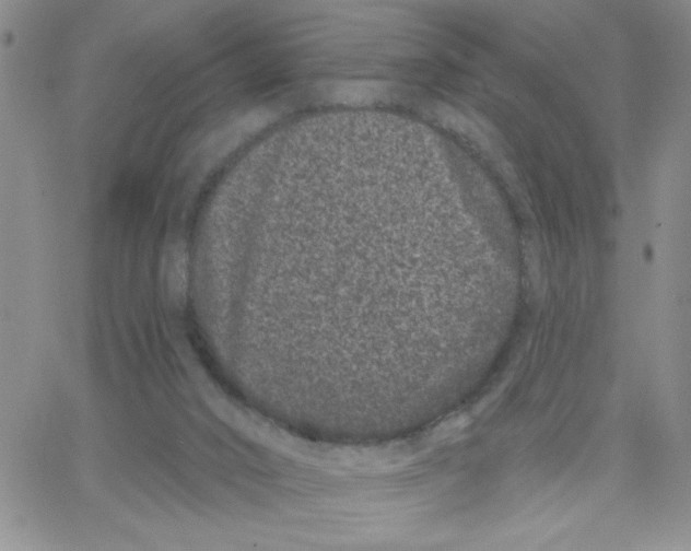 X0000065260016200603131214