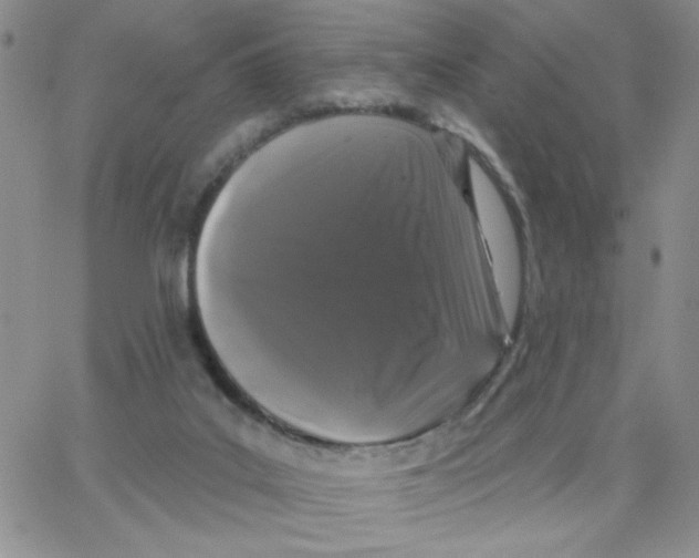 X0000065260019200603131214