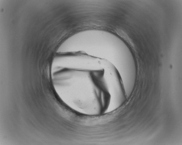 X0000065260021200603131214