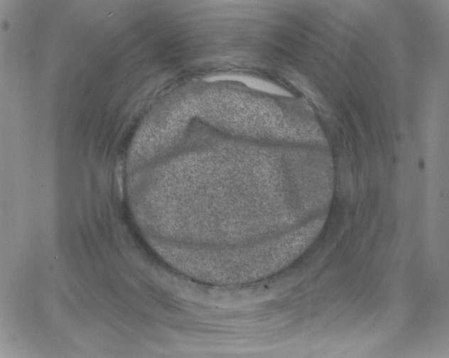 X0000065260022200603131214