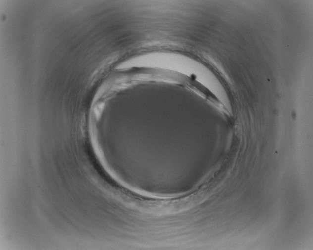 X0000065260023200603131214