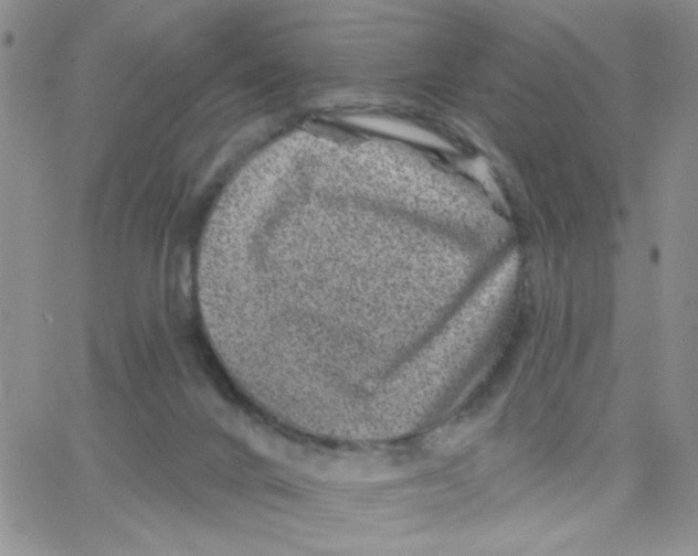 X0000065260024200603131214