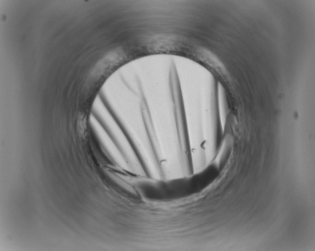 X0000065260025200603131214