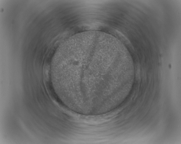 X0000065260026200603131214