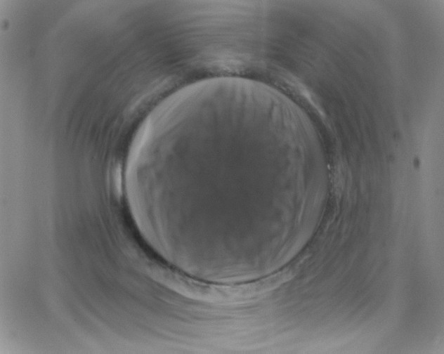 X0000065260027200603131214