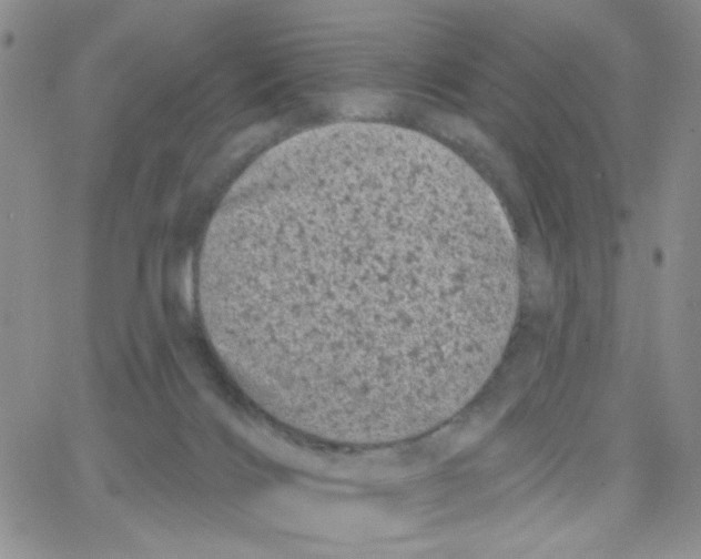 X0000065260028200603131214