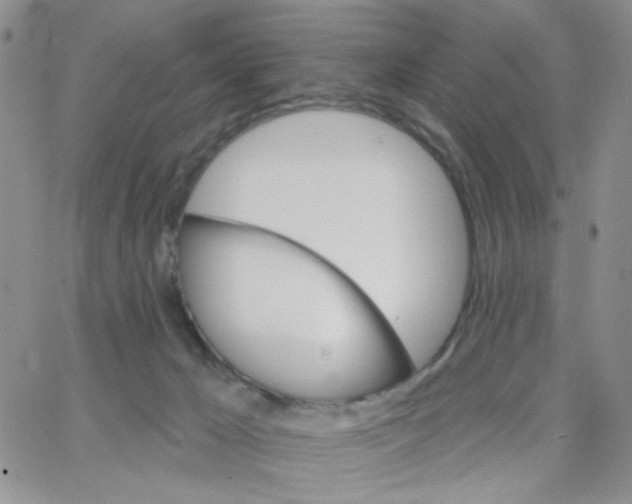 X0000065260029200603131214