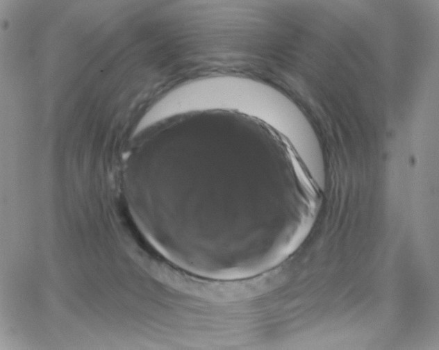 X0000065260031200603131214