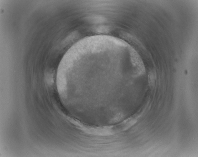 X0000065260032200603131214