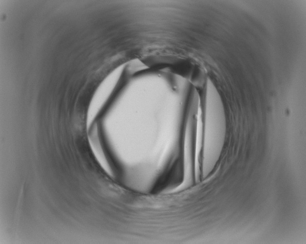 X0000065260033200603131214