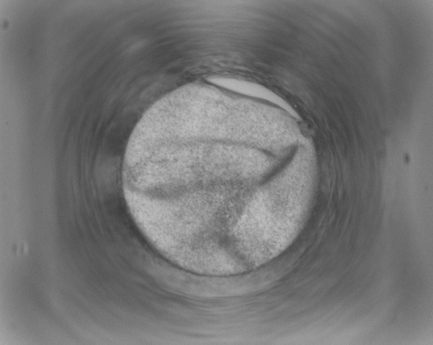 X0000065260034200603131214