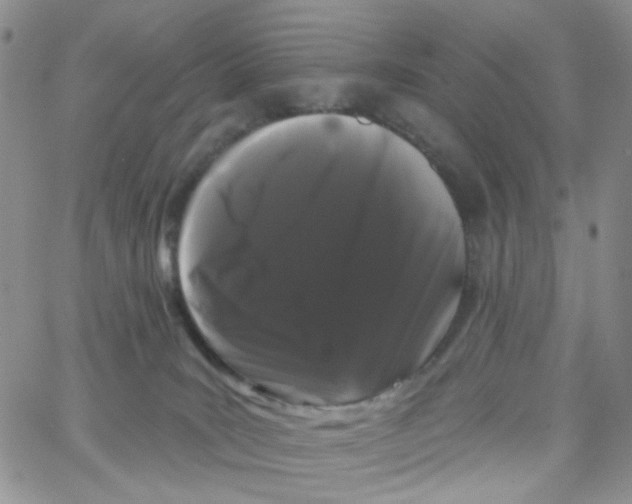 X0000065260035200603131214