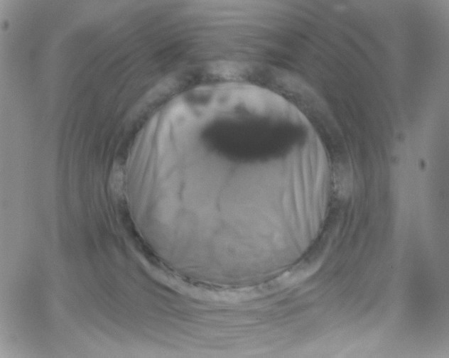 X0000065260036200603131213