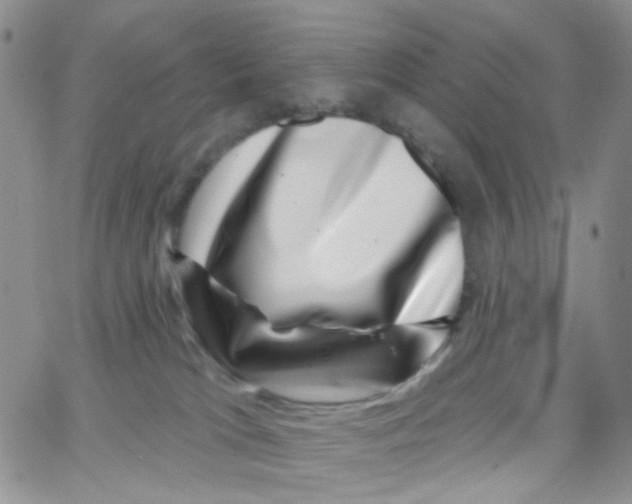 X0000065260037200603131213