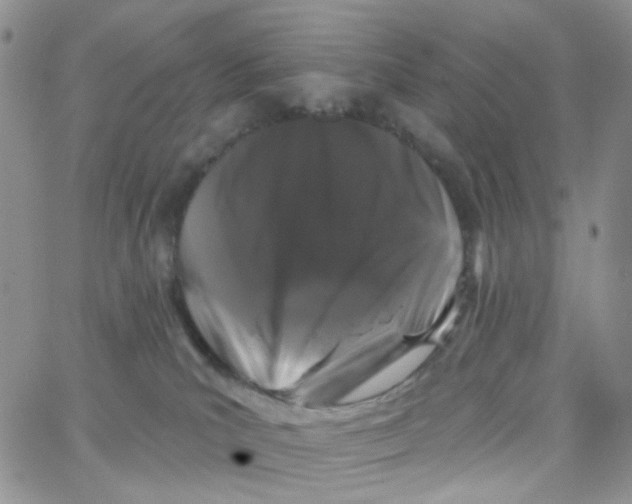 X0000065260039200603131213